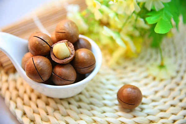 Ăn hạt macca thế nào để tốt cho sức khoẻ?